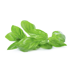 Albahaca docena
