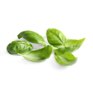 Albahaca hoja grande kg