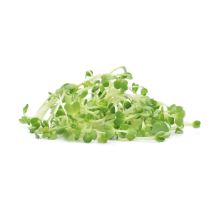 Brote de alfalfa 100 g