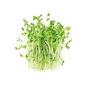 Brote de arveja 100 g