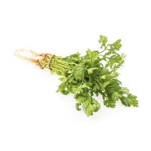 Cilantro kg