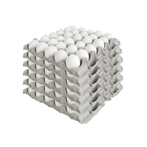 Huevo blanco primera 180 un caja