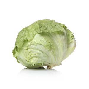 Lechuga escarola un