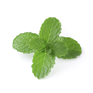 Menta 100 grs un