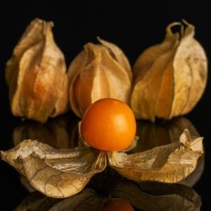 Physalis kg