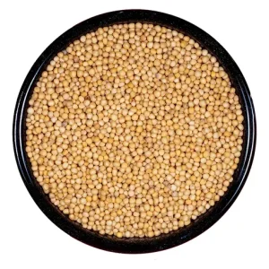 Semilla de mostaza kg